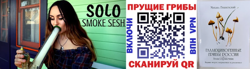 Галлюциногенные грибы мицелий  mega ССЫЛКА  Шадринск 