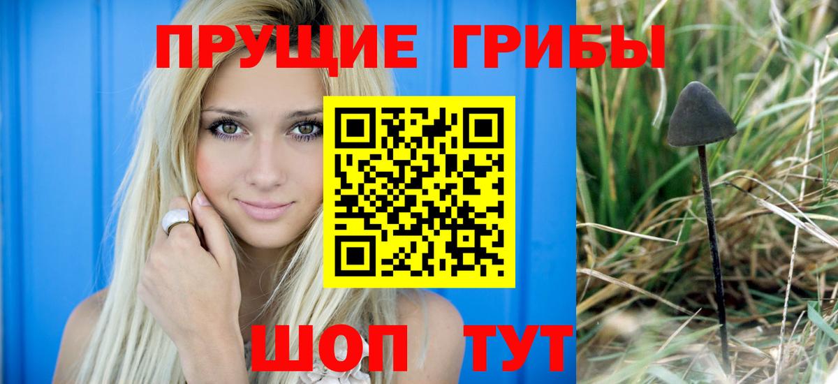 Галлюциногенные грибы Psilocybe  Вход с VPN  Шадринск  Псилоцибиновые грибы Psilocybine cubensis 
